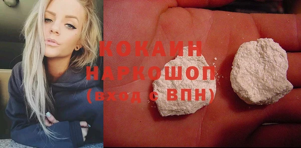 твердый Арсеньев