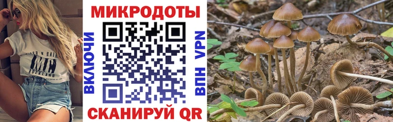 Галлюциногенные грибы ЛСД  Кирово-Чепецк 