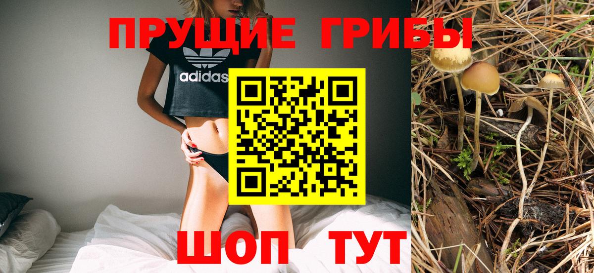 сколько стоит  Псилоцибиновые грибы мухоморы  Галлюциногенные грибы Cubensis  Вход с VPN  Кирово-Чепецк 